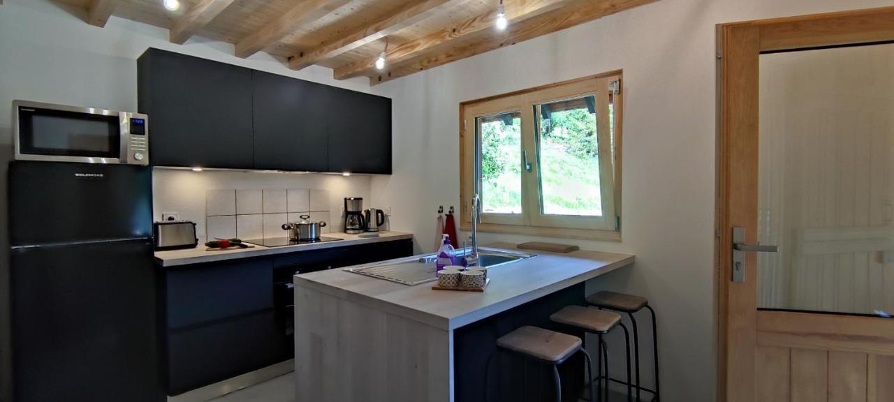 Chalet L'Alpe Saint-Pierre-d'Entremont  Zewnętrze zdjęcie