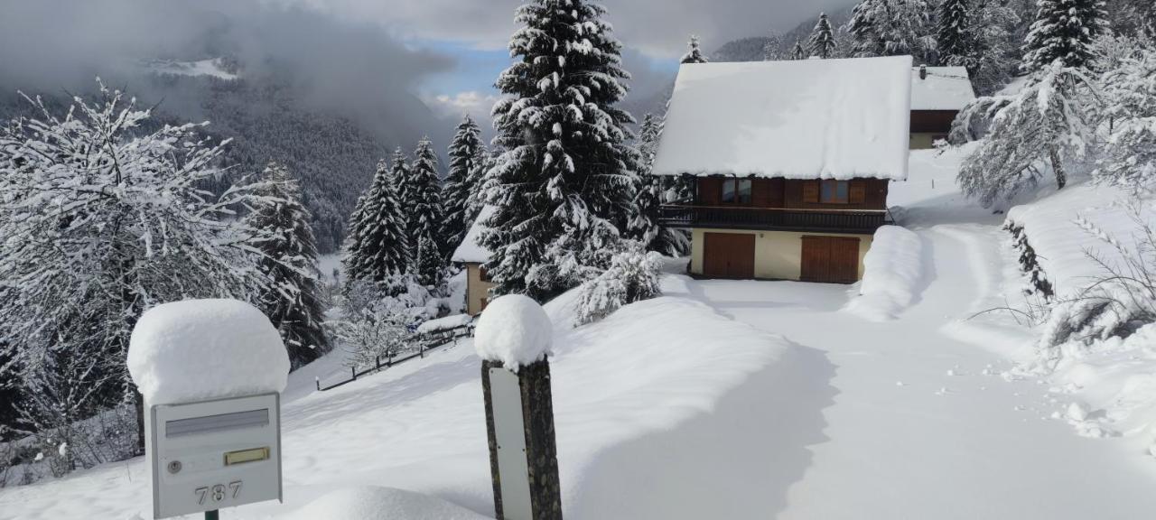 Chalet L'Alpe Saint-Pierre-d'Entremont  Zewnętrze zdjęcie